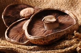 100g portobello mushrooms nutritional information