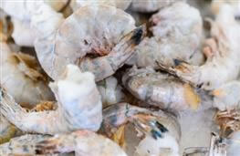 100g frozen prawns nutritional information