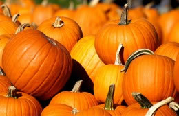 100g pumpkin nutritional information