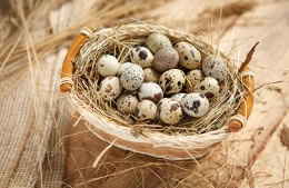 6 quail eggs, hard boiled and peeled nutritional information