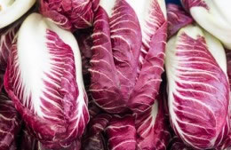 Radicchio nutritional information