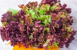 Red lettuce nutritional information