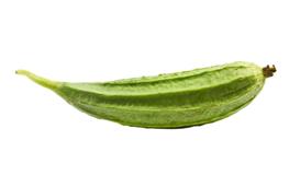 Ridge gourd nutritional information