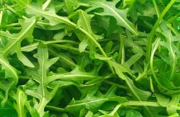 Rocket - arugula nutritional information