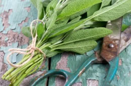 5 fresh sage leaves, chopped nutritional information