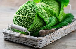 240g savoy cabbage nutritional information