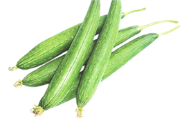 Snake gourd nutritional information
