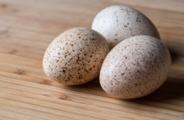 Turkey eggs nutritional information