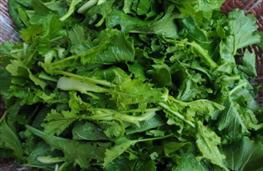 Turnip greens nutritional information