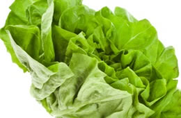 Webbs lettuce nutritional information