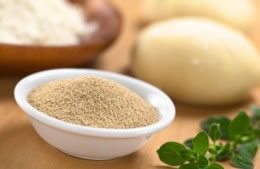 Yeast - dried nutritional information