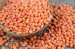 100g red lentils nutritional information