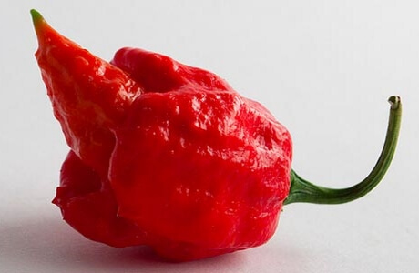 Trinidad Scorpion chilli nutritional information