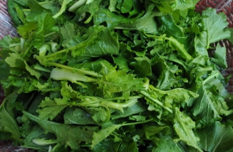 Turnip greens nutritional information