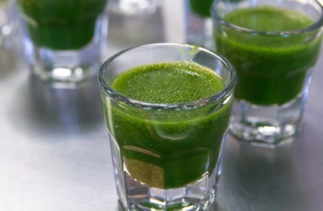 Wheatgrass juice powder nutritional information
