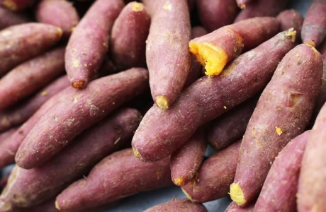 Yam nutritional information