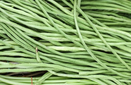 Yardlong bean nutritional information