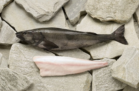Sablefish/black cod nutritional information