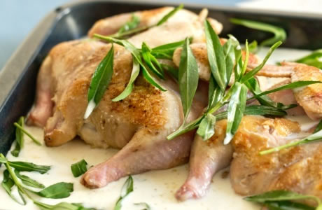 Chicken with tarragon sauce recipe