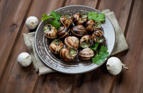 Escargots à la Bourguignonne (Snails in Garlic–Herb Butter)