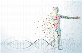 Flavonoids nutritional information