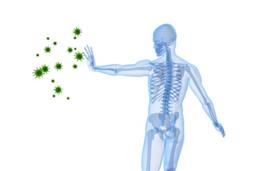 Histidine nutritional information