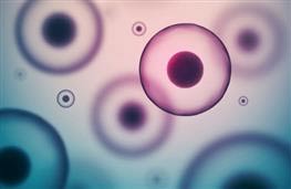 Phosphorus nutritional information