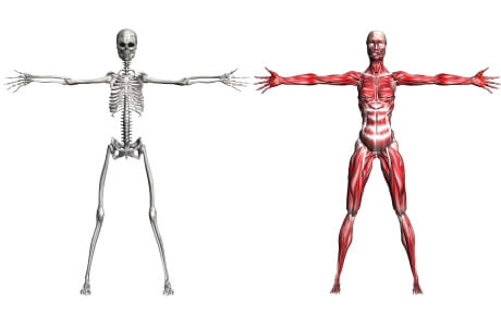 Calcium nutritional information