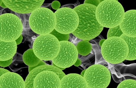 Chlorophyll and Chlorophyllin nutritional information