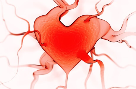 Lysine nutritional information