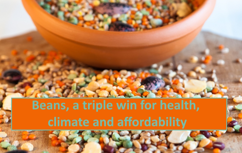 Beans are a triple win for health, climate and affordability blog image