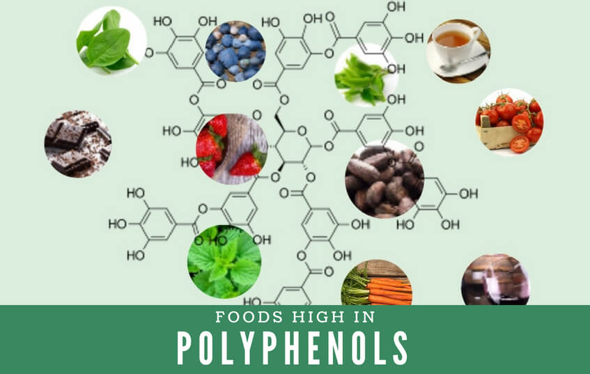 Foods High in Polyphenols blog image
