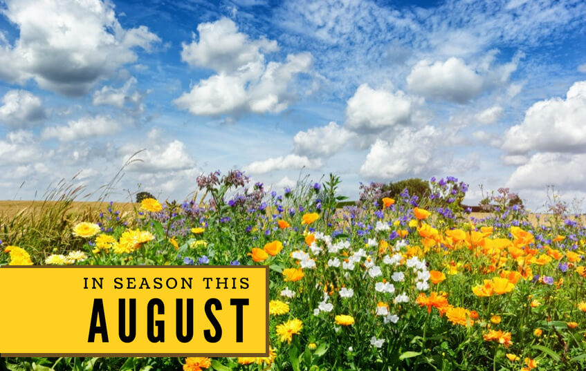 In Season this August blog image