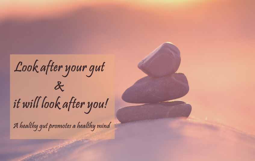 Look after your gut & it will look after you! blog image