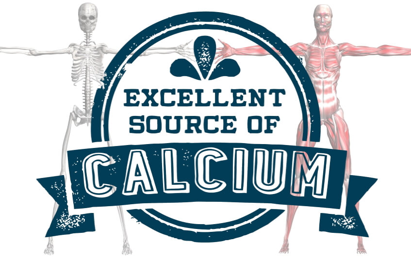 The Best Top 10 Foods for Calcium blog image