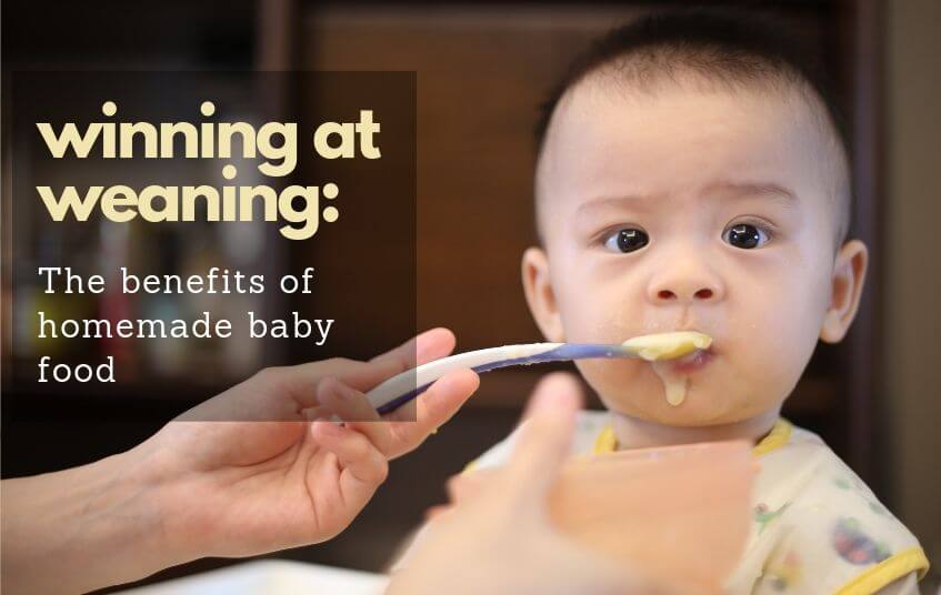 Winning At Weaning blog image