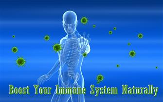 Boost Your Immune System nutritional information