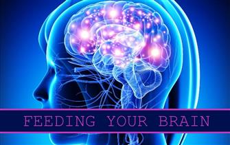 Feeding your brain blog