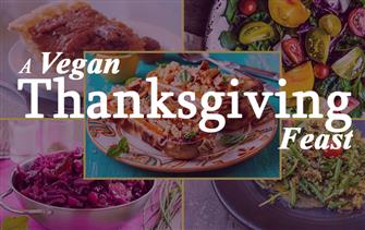 The Perfect Vegan Thanksgiving Feast blog