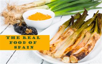 The Real Food of Spain (with recipes) blog