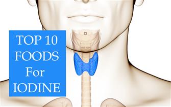 The Top Ten Foods for Iodine  blog