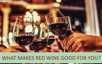 What Makes Red Wine Good for You? blog