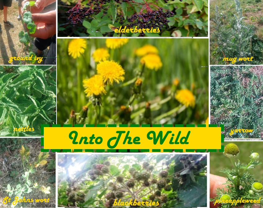 Into The Wild